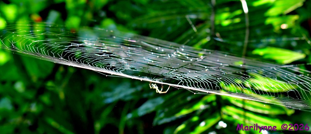 DSC_5193_001.JPG