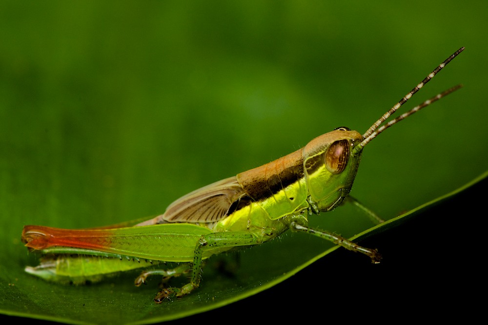 DSC_5195.jpg