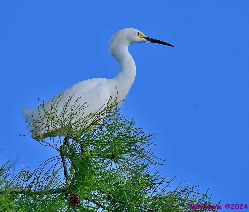 DSC_5195_001.JPG