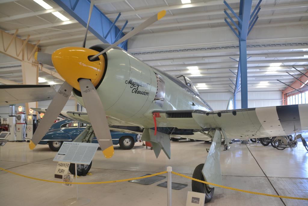 DSC_5204.jpg