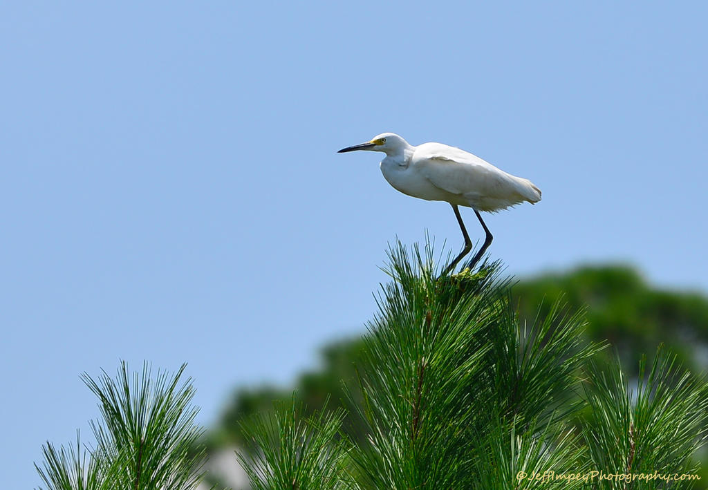 DSC_5205.jpg