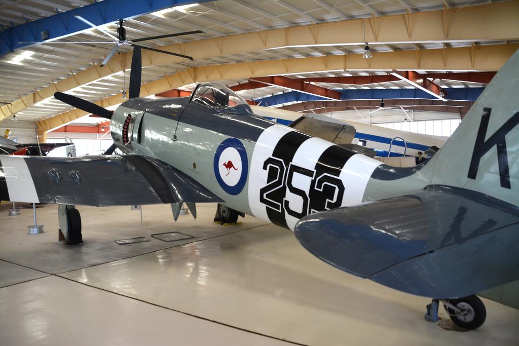 DSC_5209.jpg