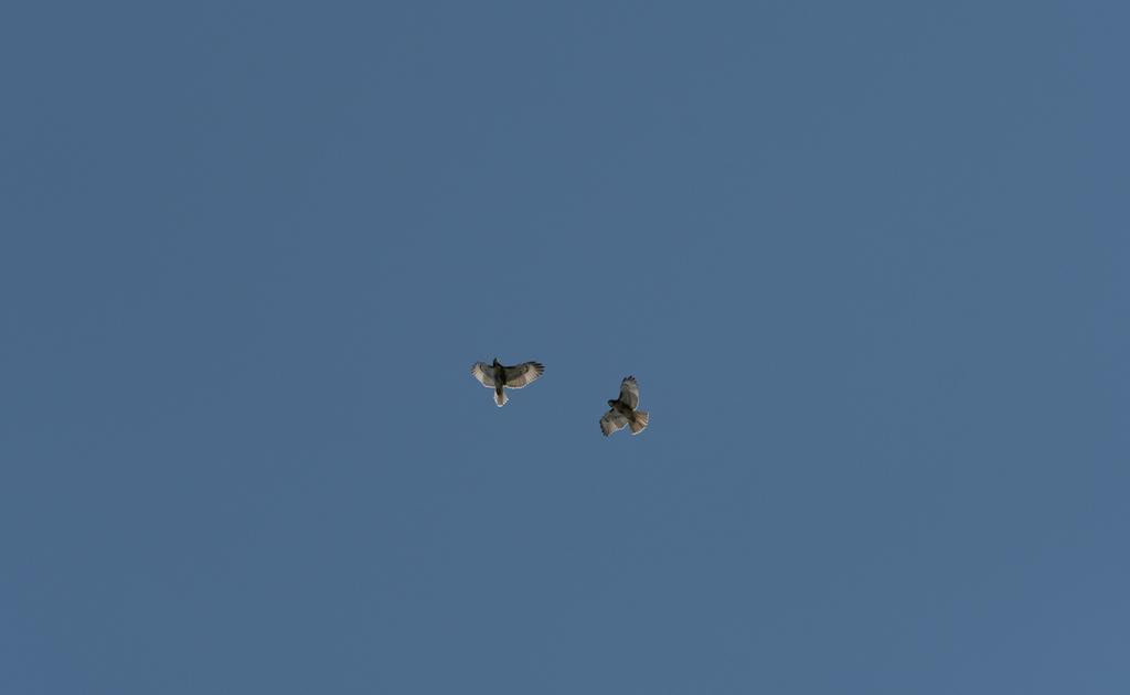 DSC_5211.jpg