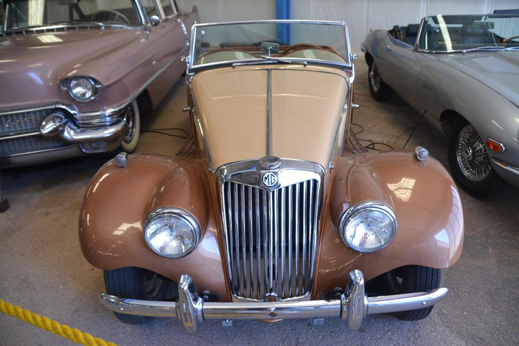 DSC_5215.jpg