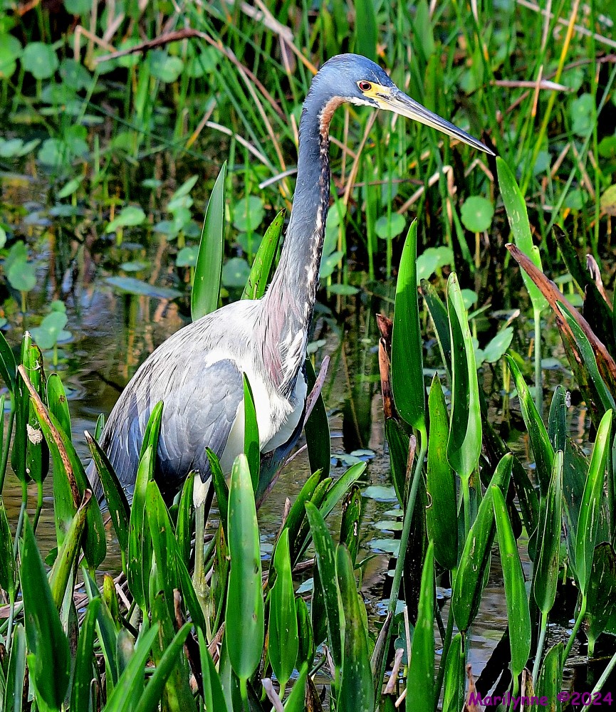 DSC_5215_001.JPG
