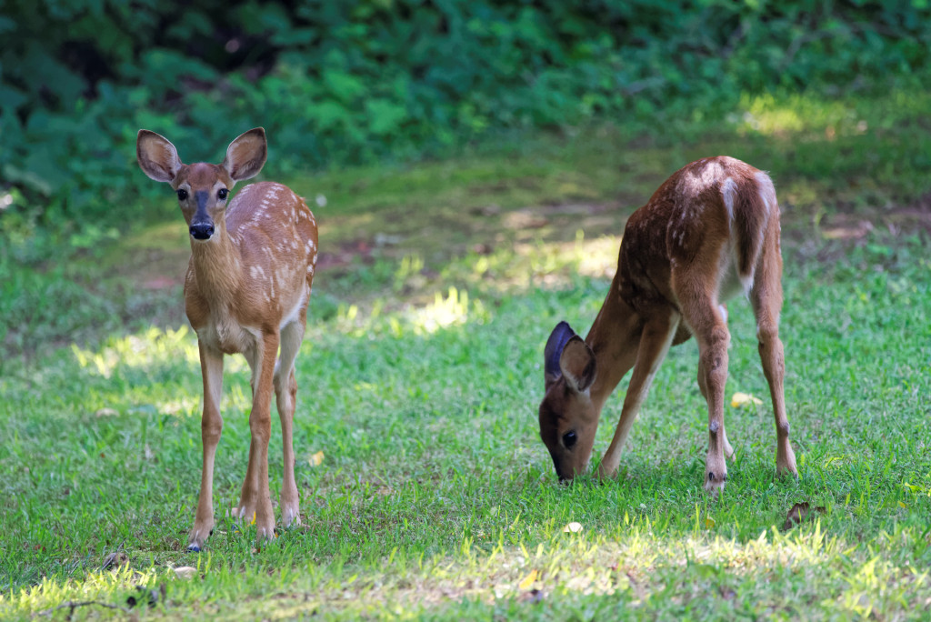 DSC_5221_DxO.jpg