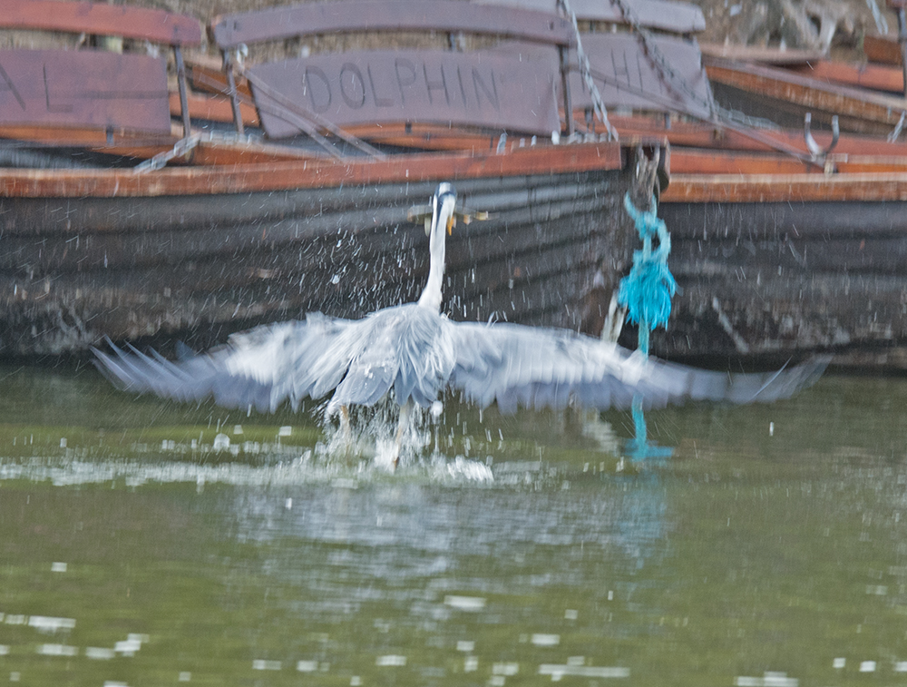 DSC_5222.jpg
