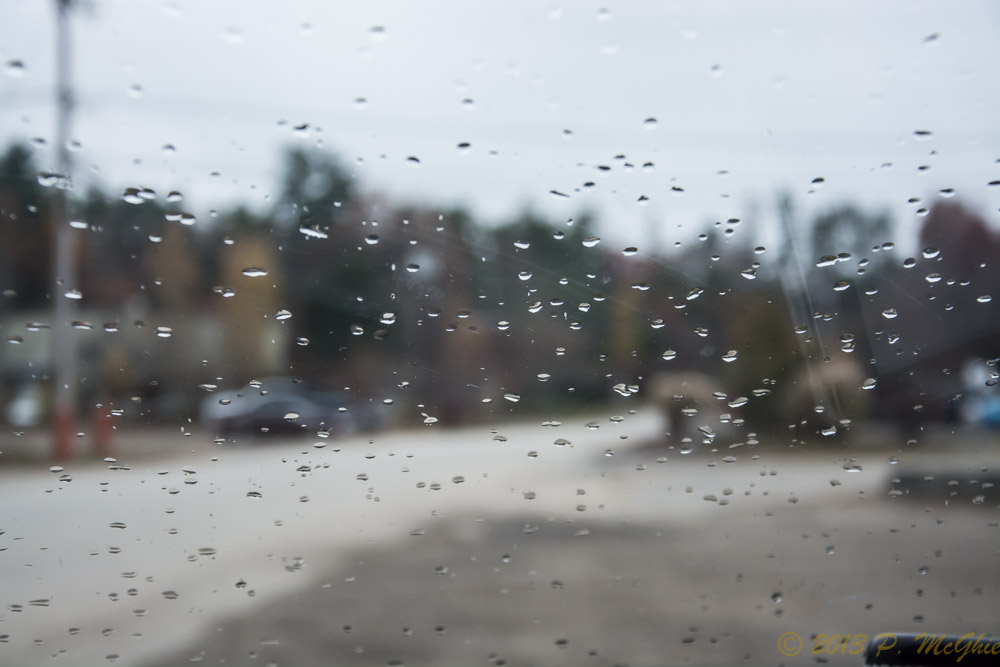 DSC_5223.jpg