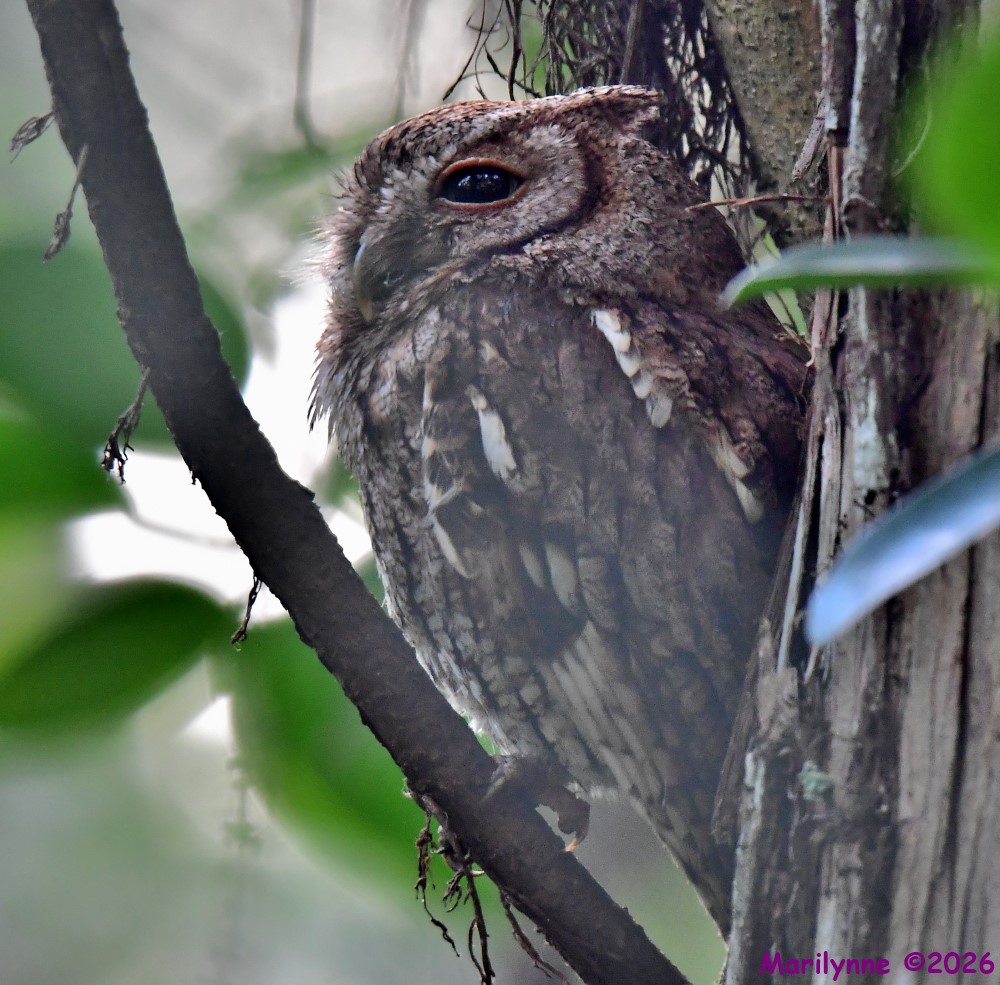 DSC_5229_001.JPG