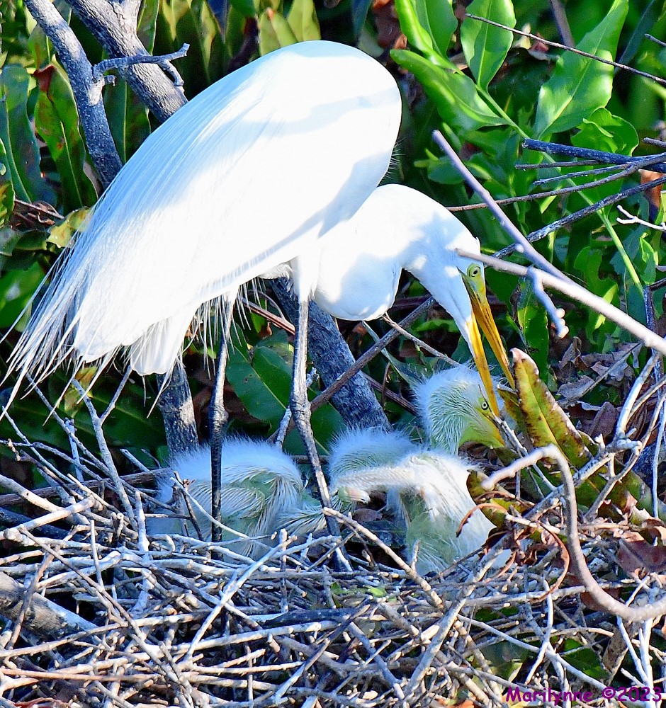 DSC_5236_001.JPG