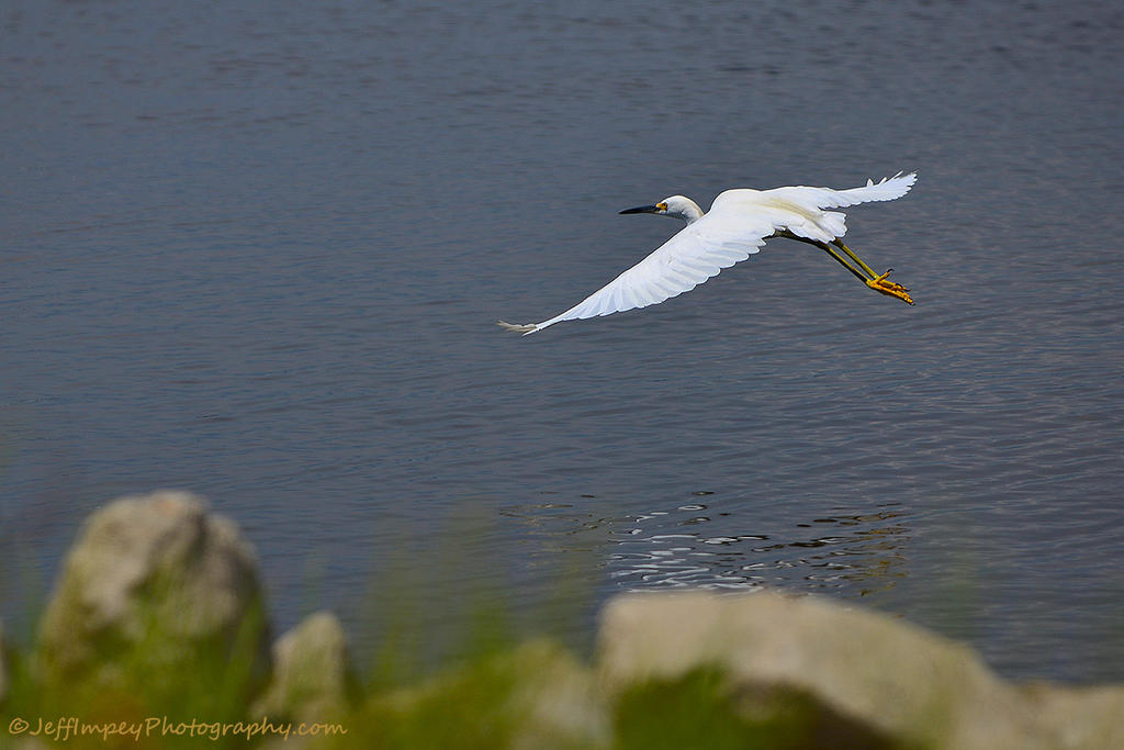 DSC_5238.jpg