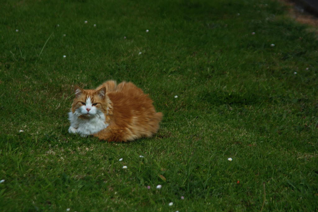 DSC_5239.jpg