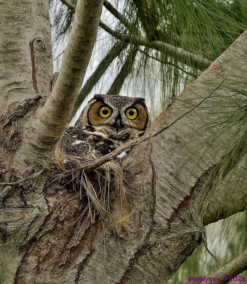 DSC_5240 copy_001_01.JPG