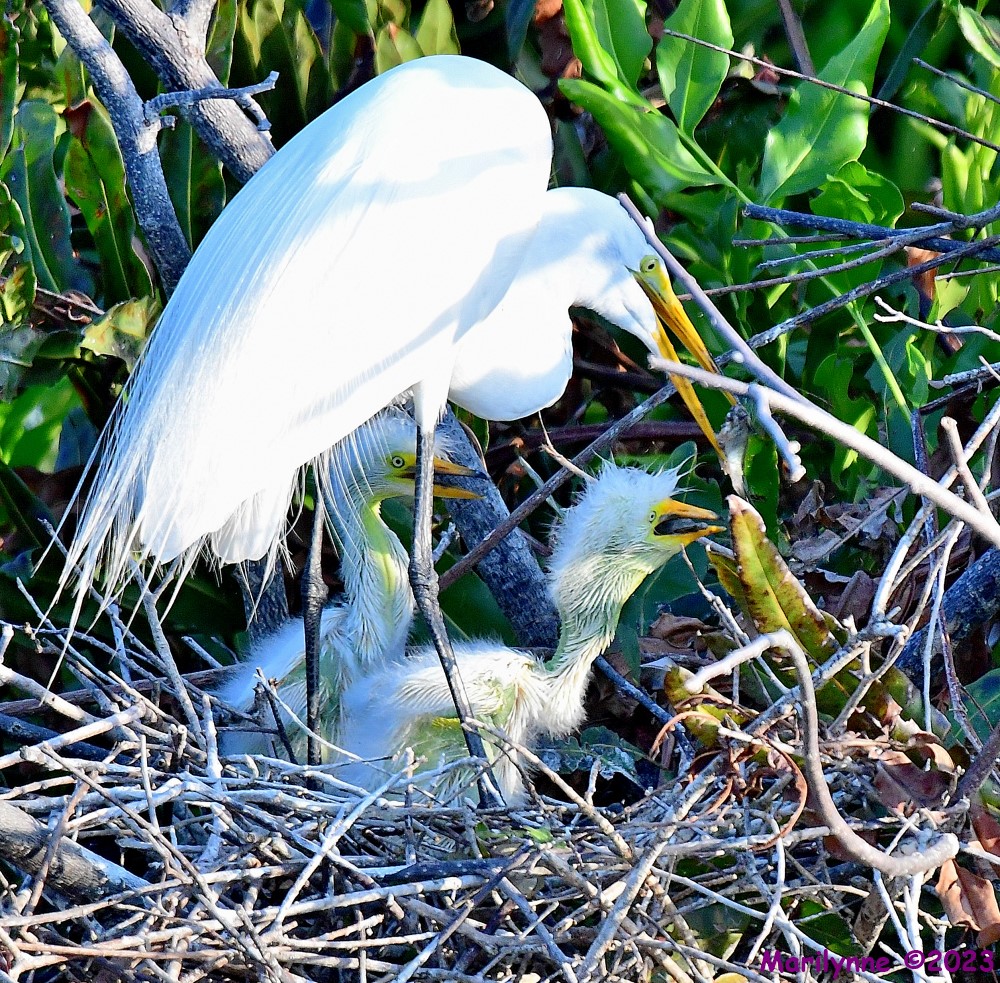 DSC_5240_001.JPG
