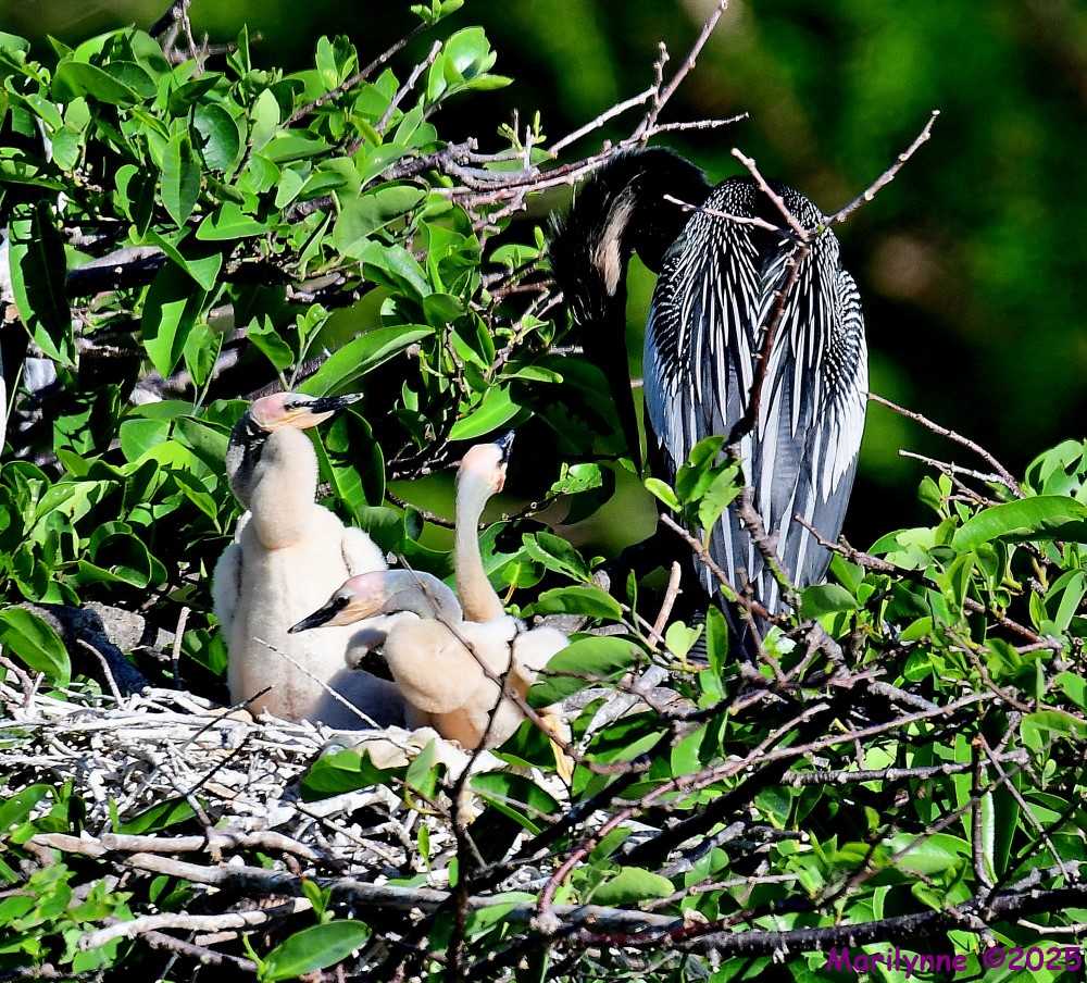 DSC_5241_001.JPG
