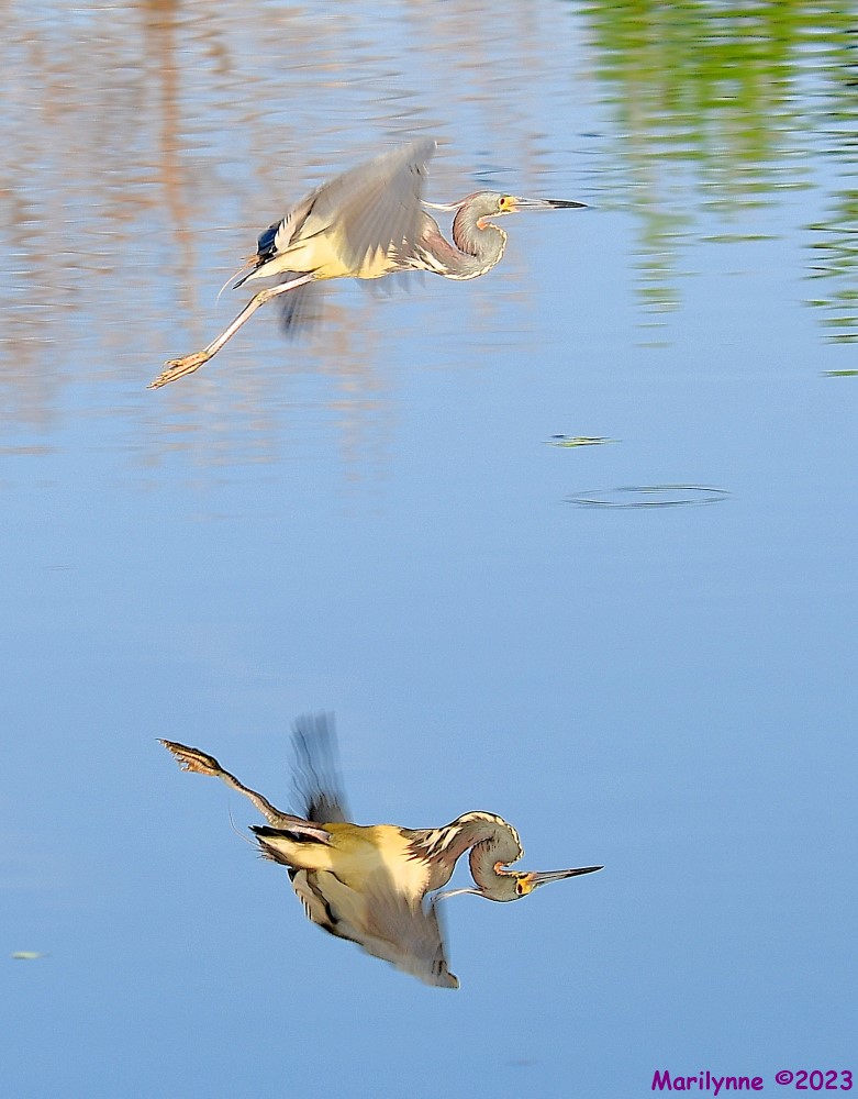 DSC_5246_001.JPG