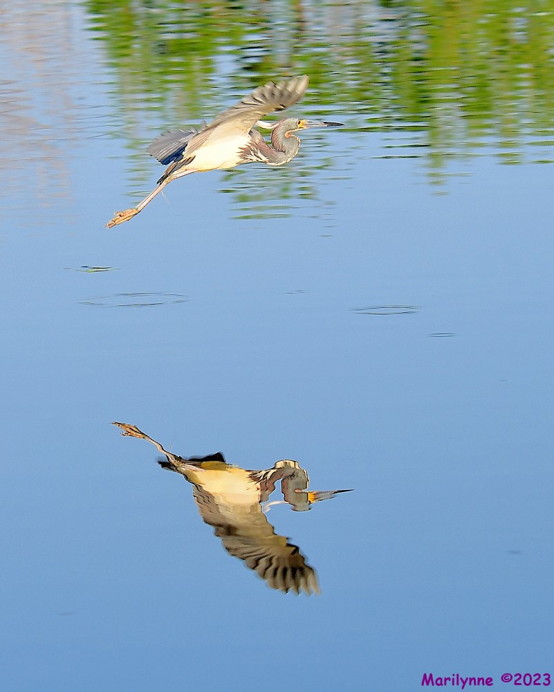 DSC_5247_001.JPG