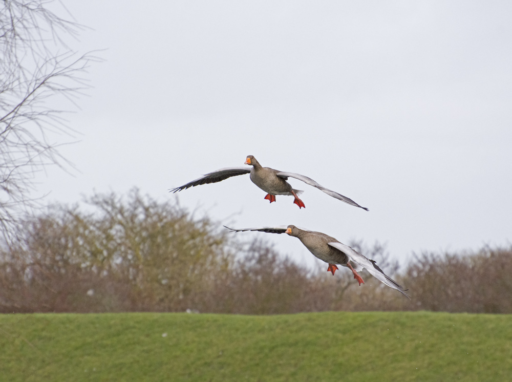 DSC_5261.jpg