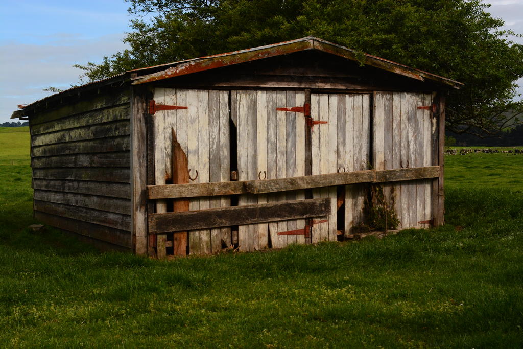 DSC_5270.jpg