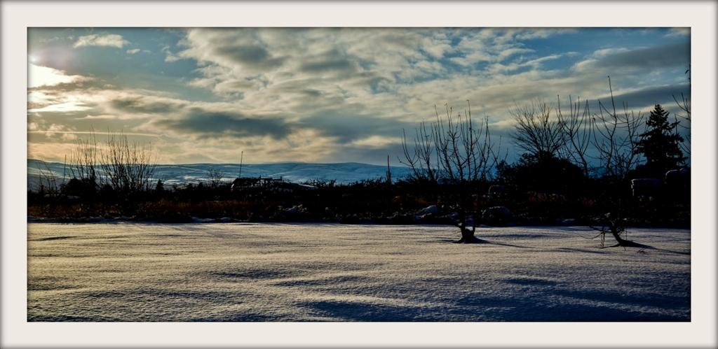 DSC_5275 (1280x570).jpg