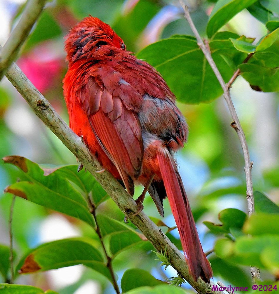 DSC_5276_001.JPG