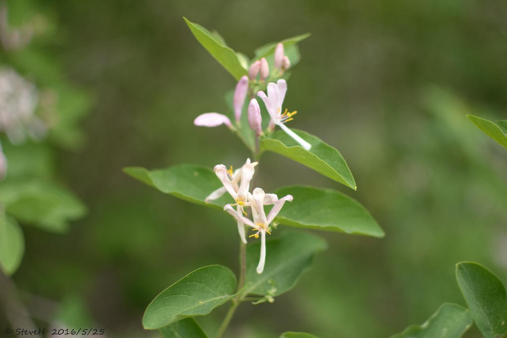 DSC_5280.jpg