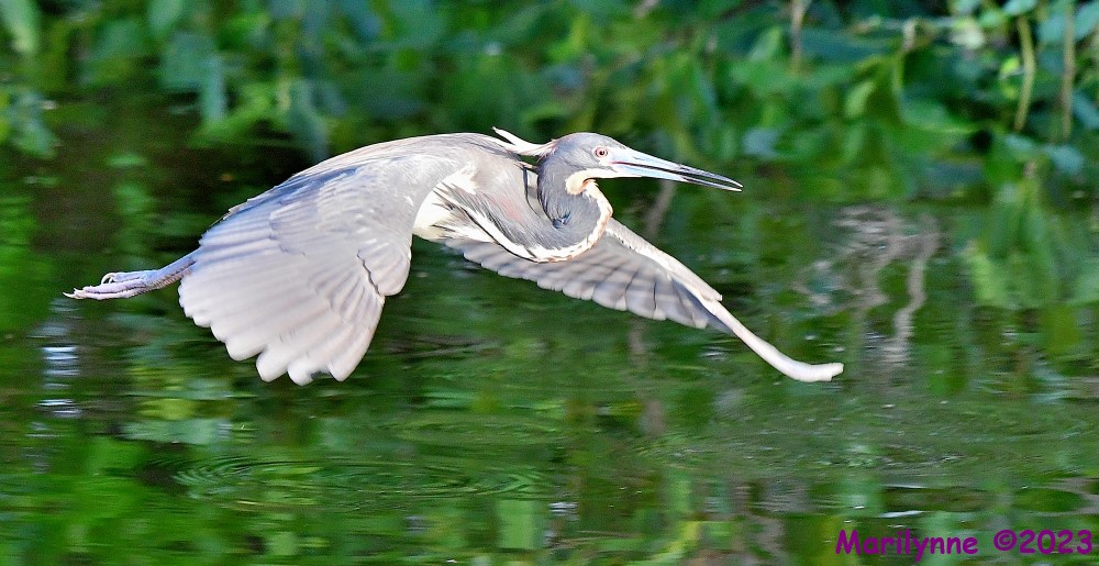 DSC_5280_001.JPG