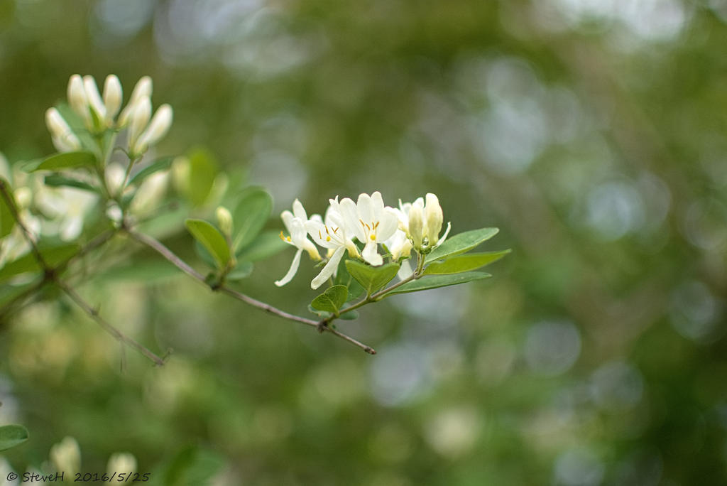 DSC_5281.jpg