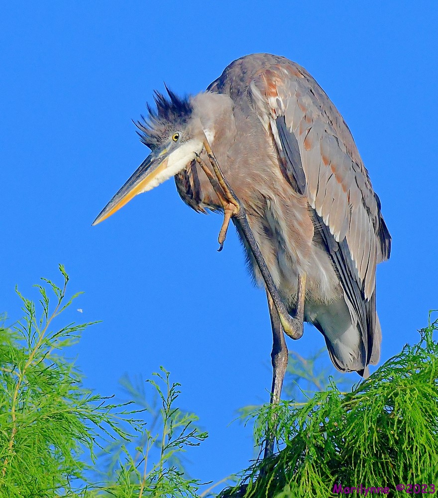 DSC_5281_001.JPG