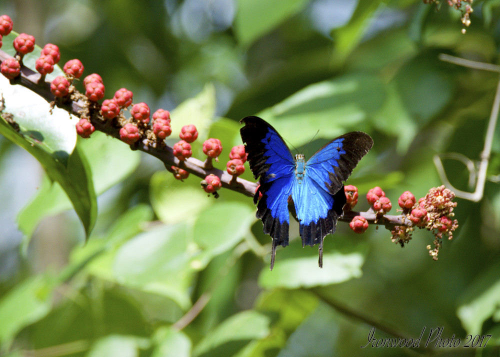 DSC_5283.jpg