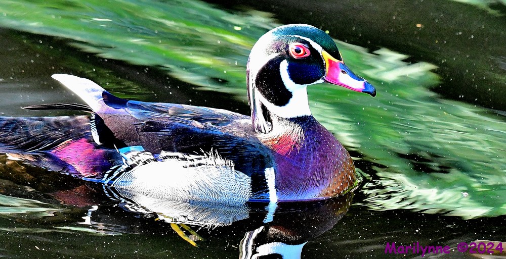DSC_5283_001.JPG