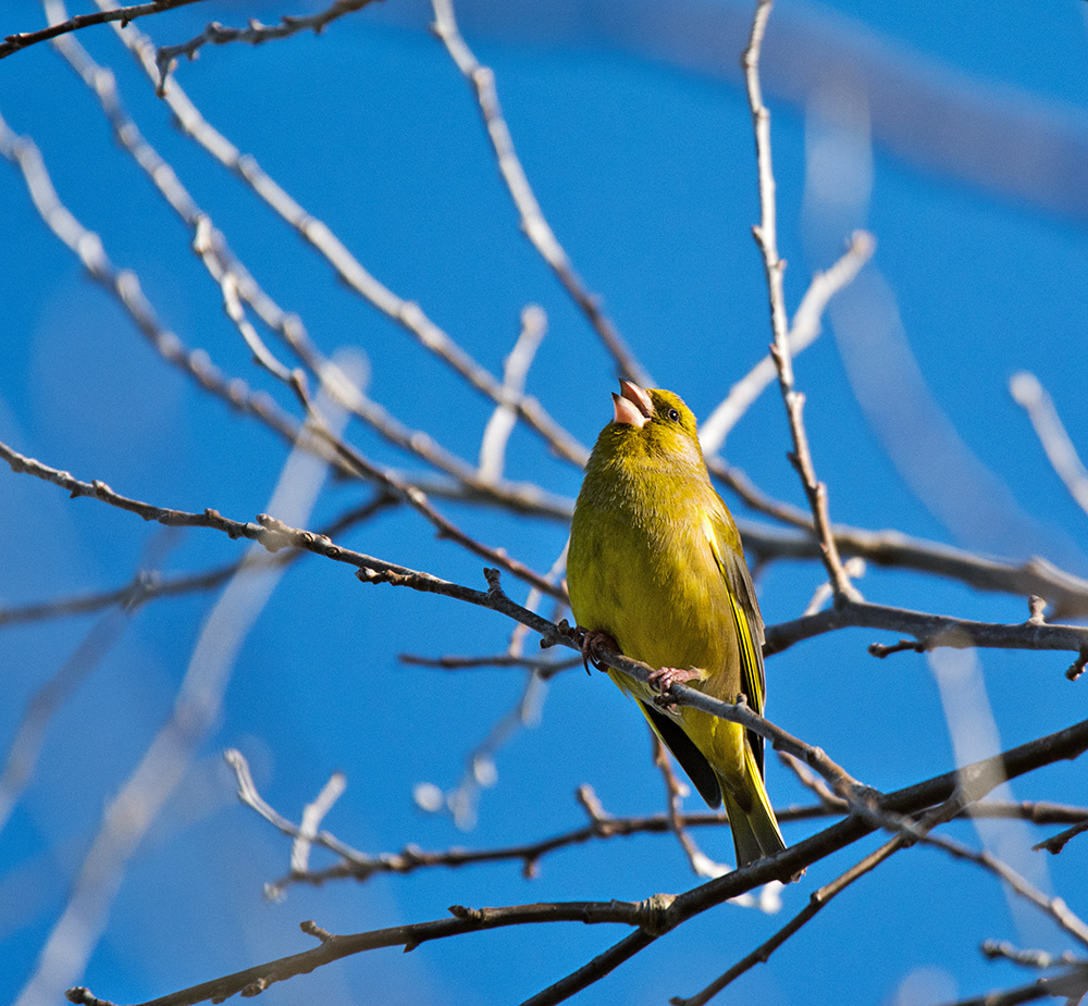 DSC_5286.jpg