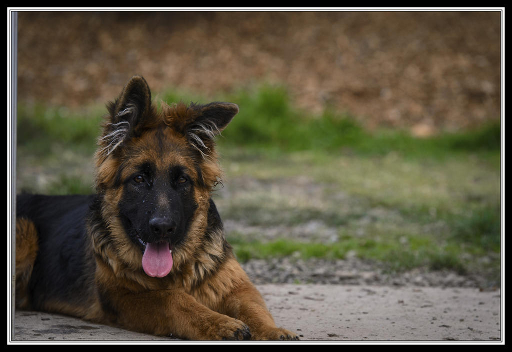 DSC_5289-2s.jpg