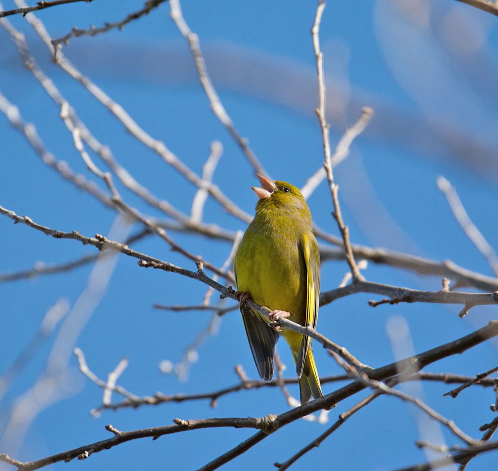 DSC_5290.jpg