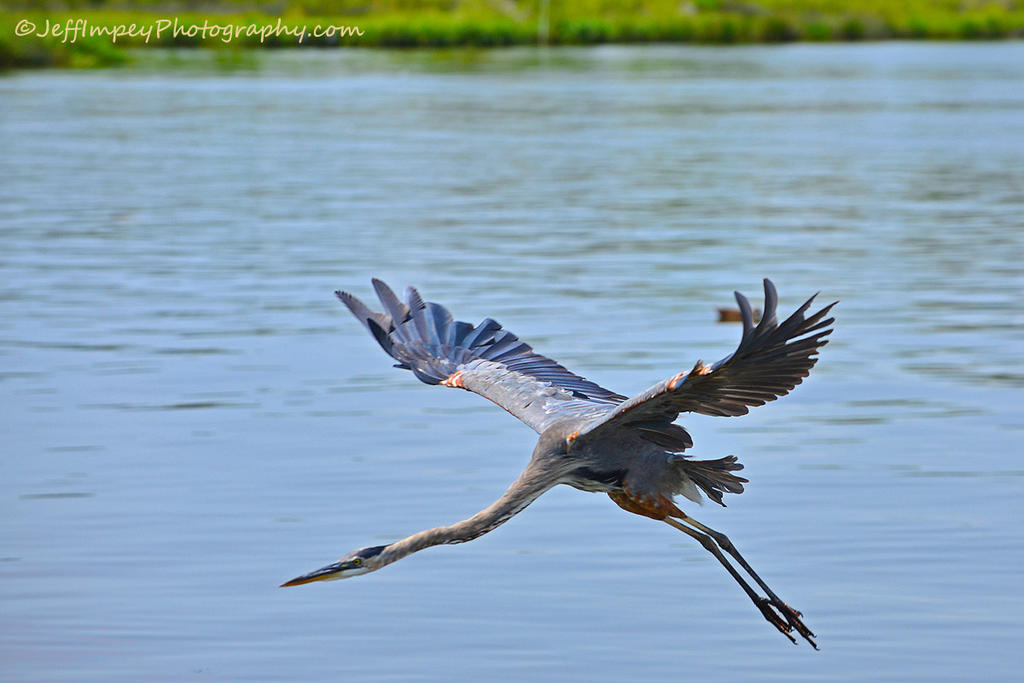 DSC_5291.jpg