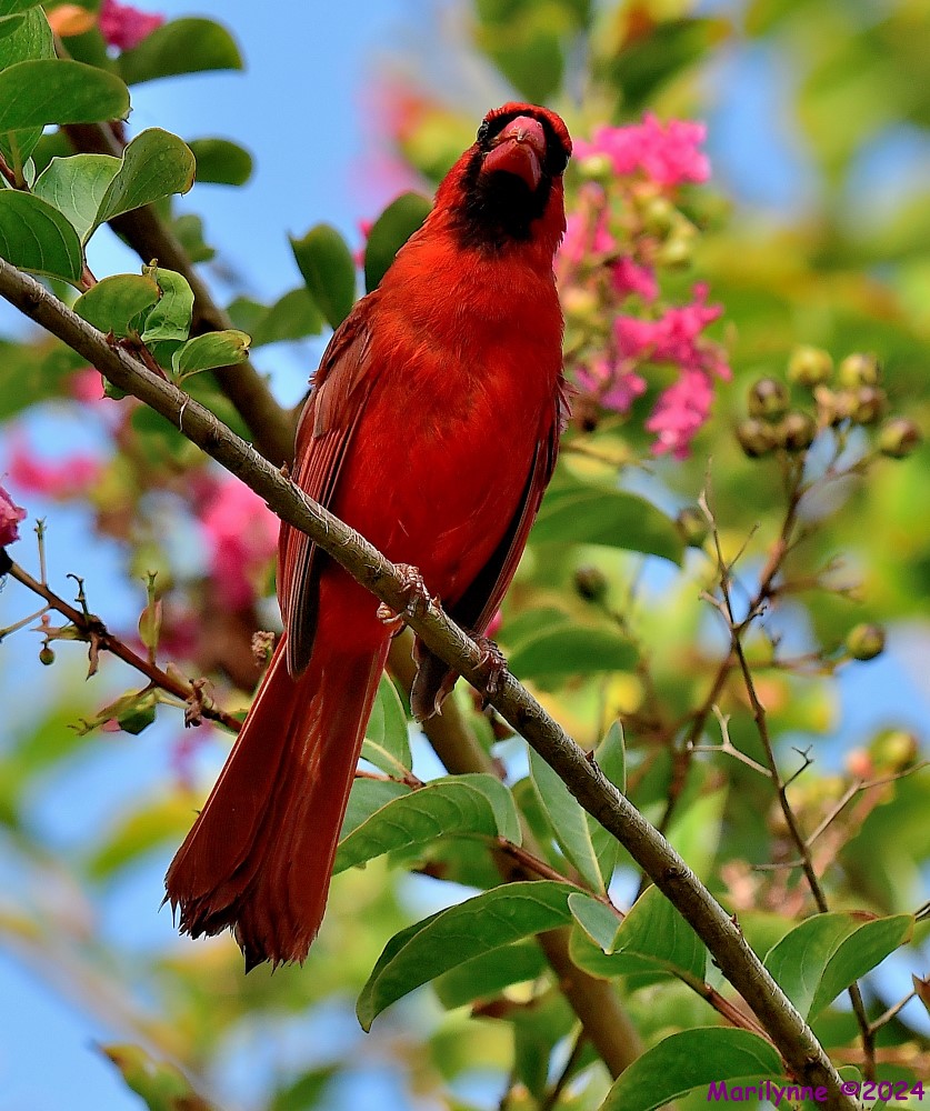 DSC_5298_001.JPG