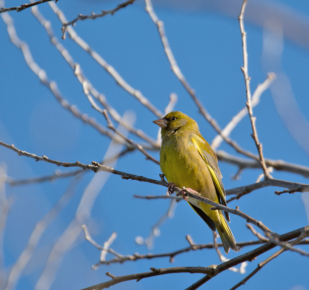 DSC_5299.jpg