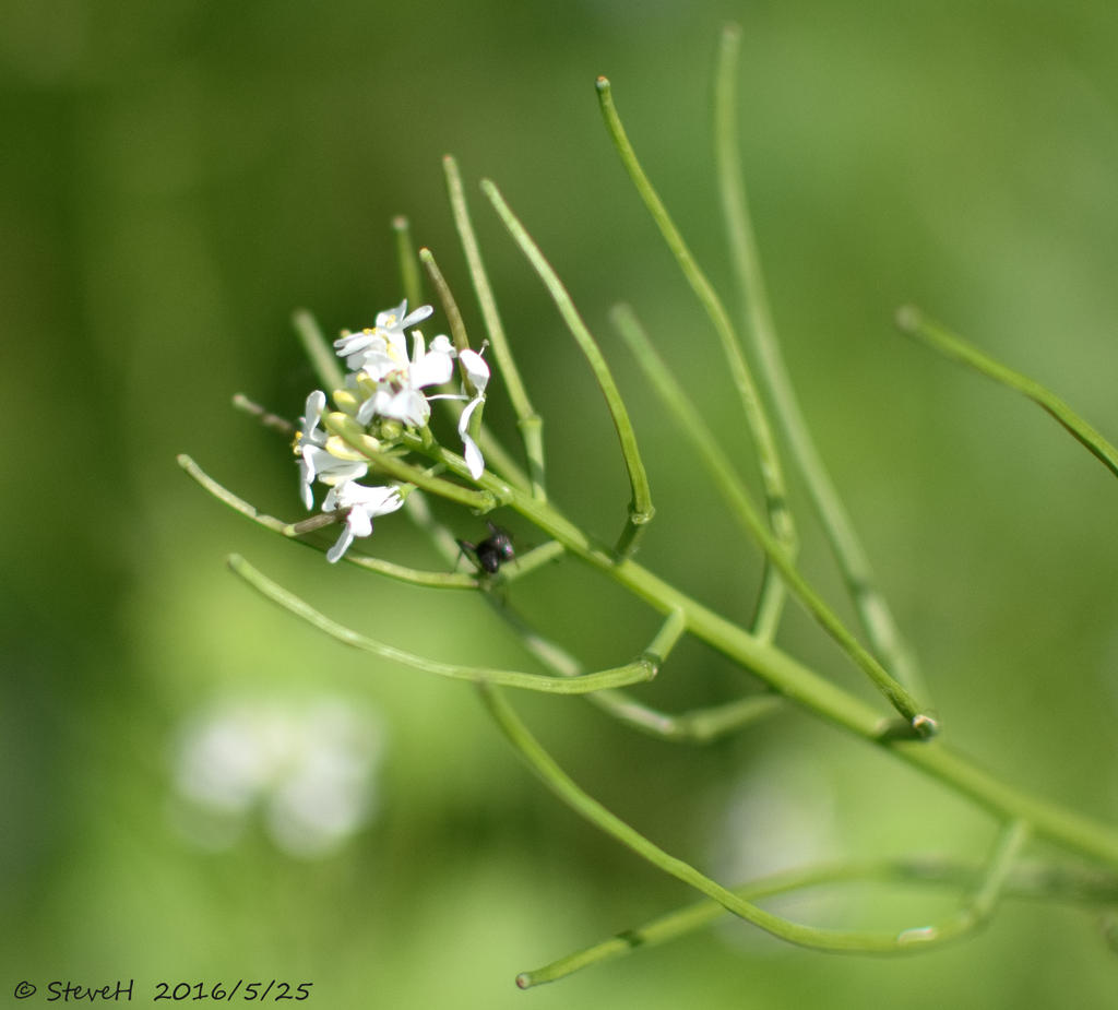 DSC_5299.jpg
