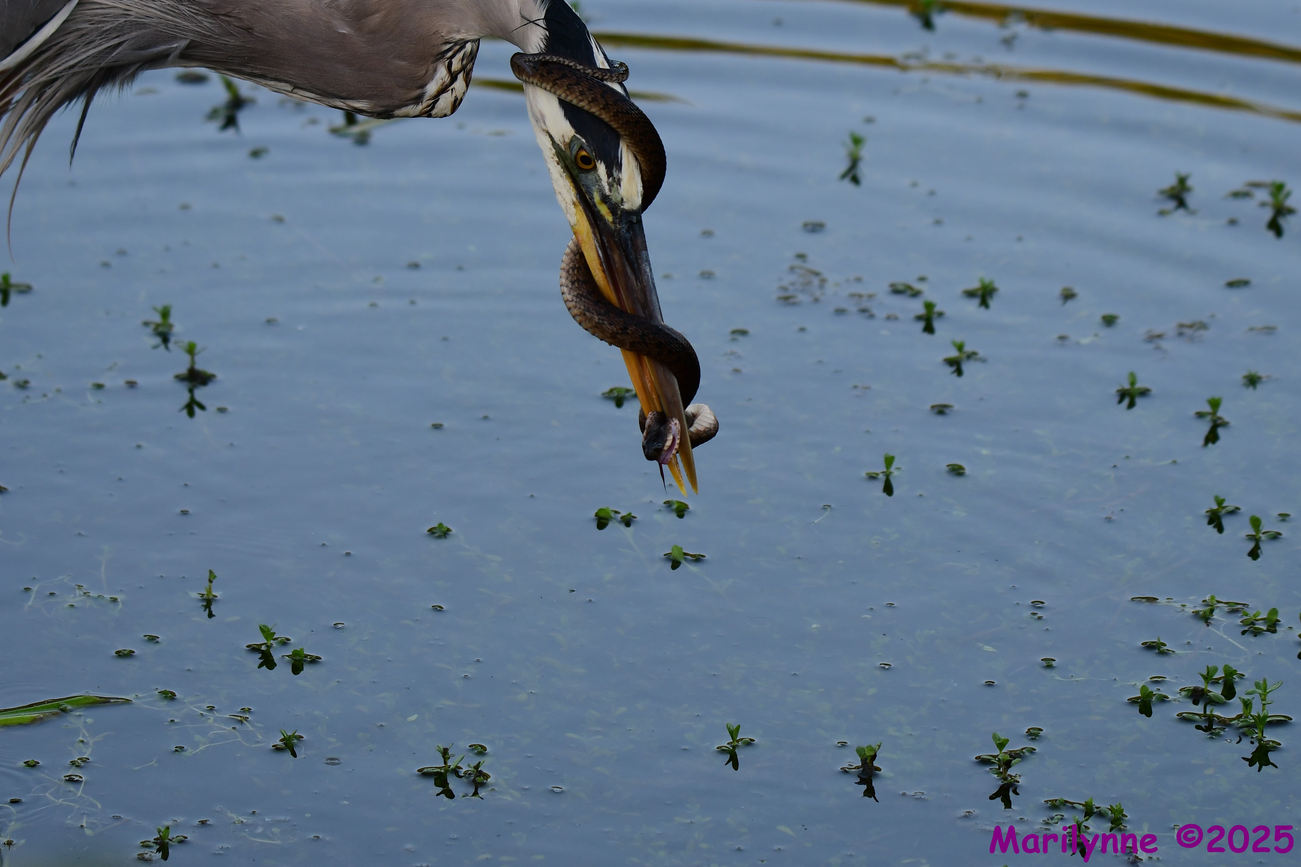 DSC_5304.JPG