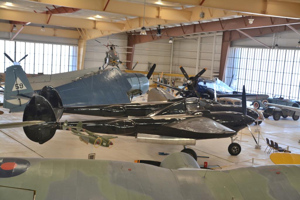 DSC_5308.jpg