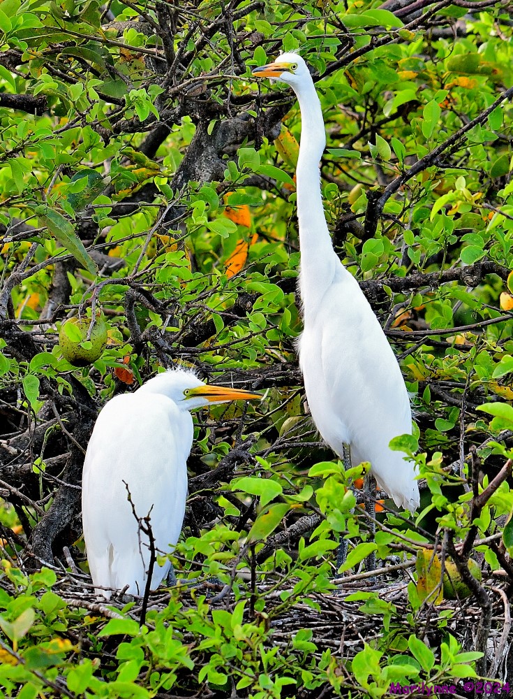 DSC_5308_001.JPG