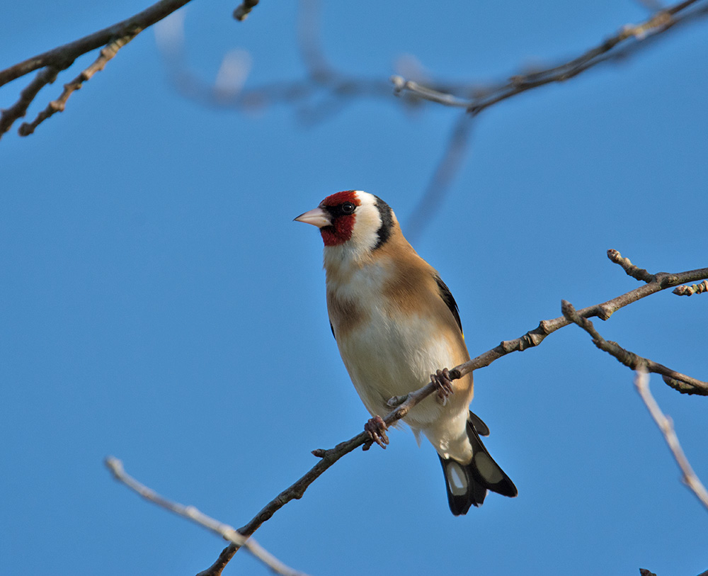 DSC_5309.jpg