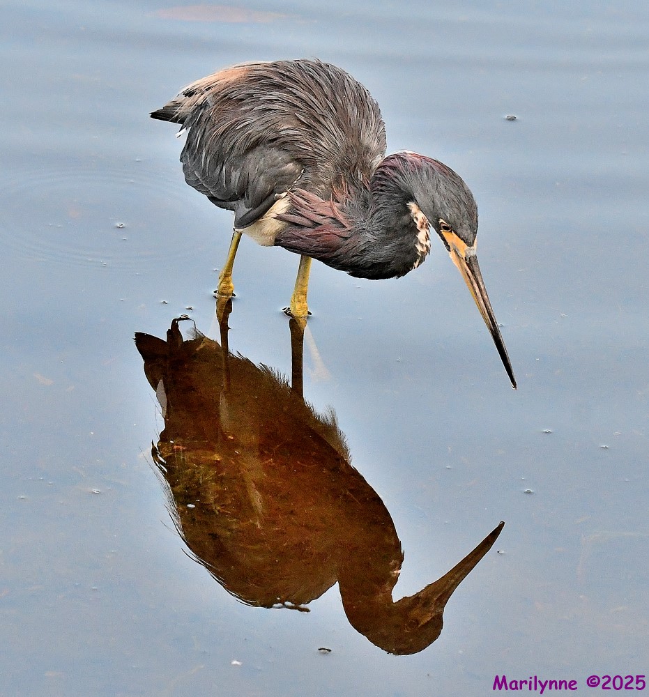 DSC_5309_001.JPG