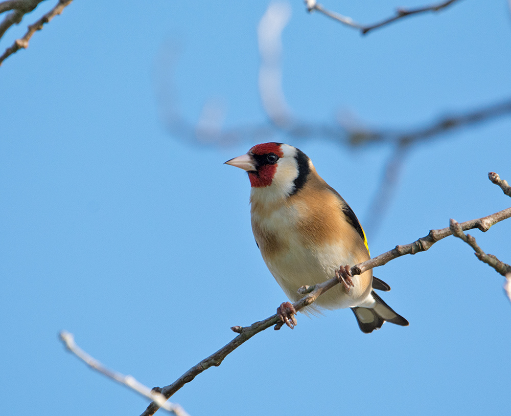 DSC_5310.jpg