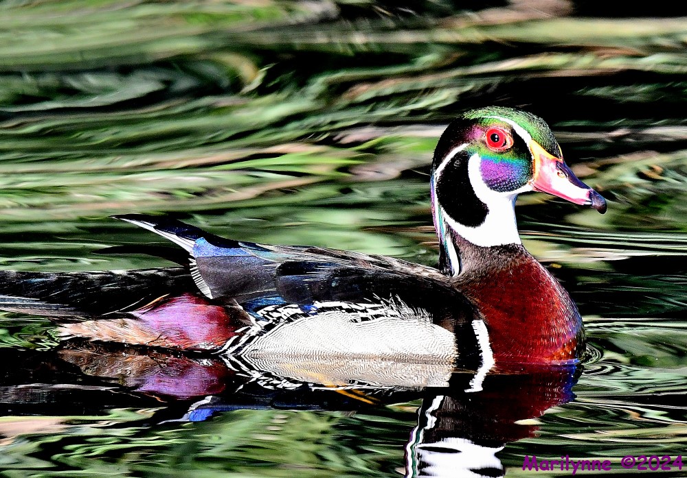 DSC_5310_001.JPG
