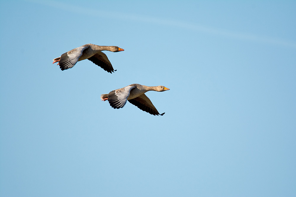 DSC_5312.jpg