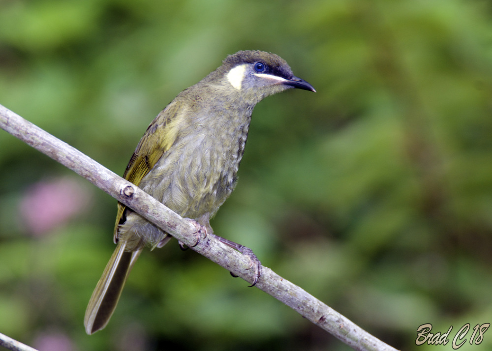 DSC_5314.jpg