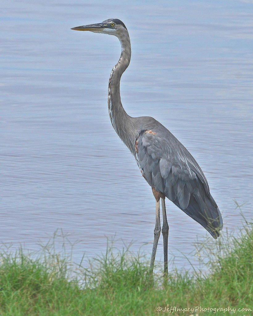 DSC_5315.jpg