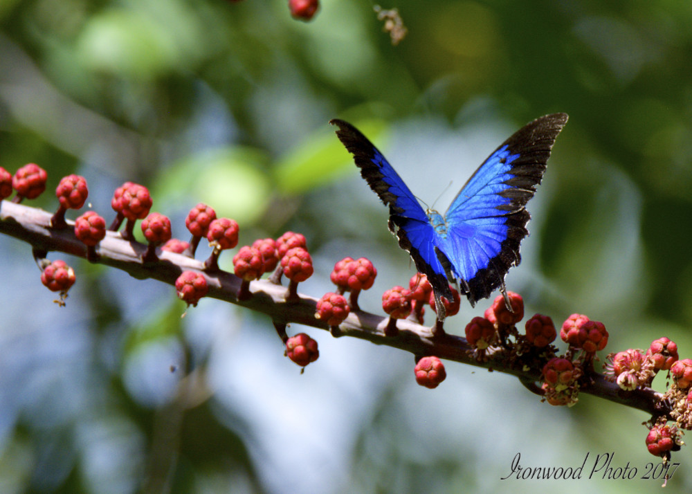 DSC_5317.jpg