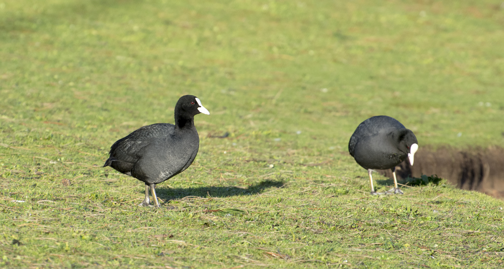 DSC_5318.jpg